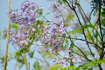 6F13500C-ED75-4E51-8FDE-2AE69255D716/L0/001