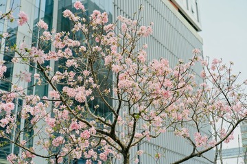3F1B3C86-64B2-459C-9ACE-A5FB93DD0F56/L0/001
