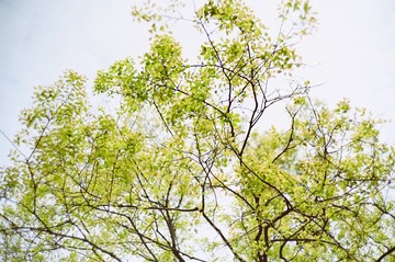 F84BE4C2-57F3-41A8-9F5A-C9F93E069121/L0/001