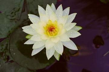 A49E5034-F22A-4F3C-9DD4-F6D881CA47C7/L0/001