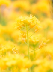 9F05EA2B-B15B-436D-9087-2B6202634380/L0/001