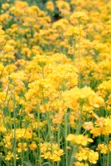 8F647BAE-5110-4D34-8149-5EDACC6BEE34/L0/001