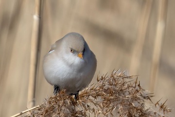 28890