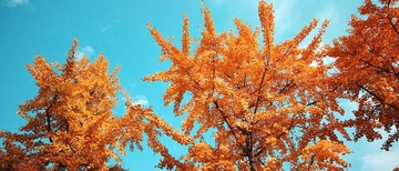 8846585F-E5E9-4DDB-A2F5-1A3744DED9EF/L0/001