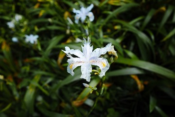 E83E1FD2-5583-474D-9A17-7CFB937CF132/L0/001