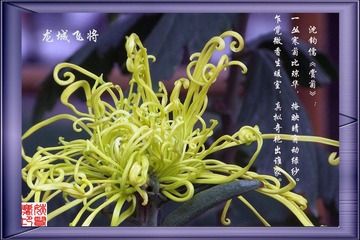 龙城飞将