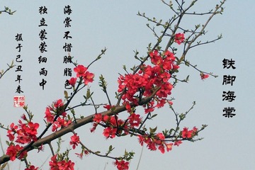 海诗1