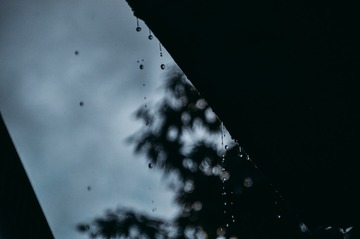 338469