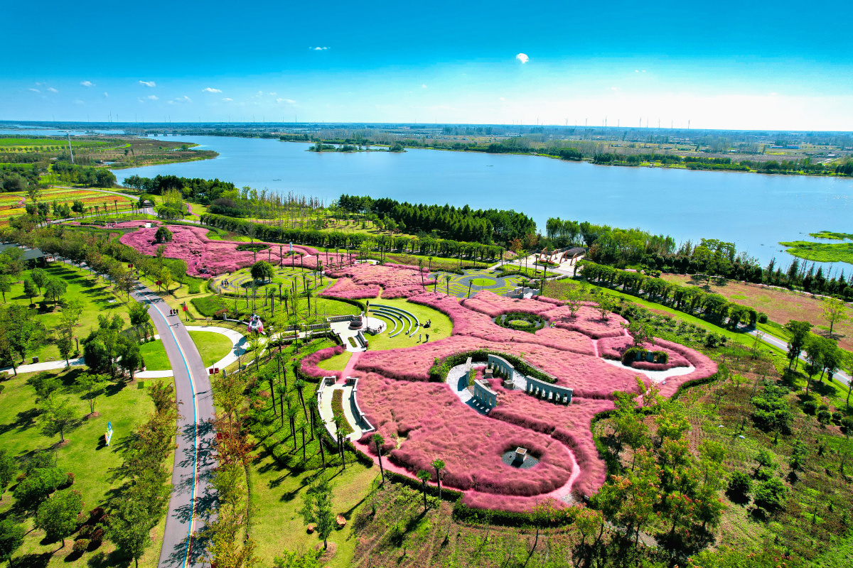 白马湖景区——向日葵的故事 - 平河南京 - 图虫