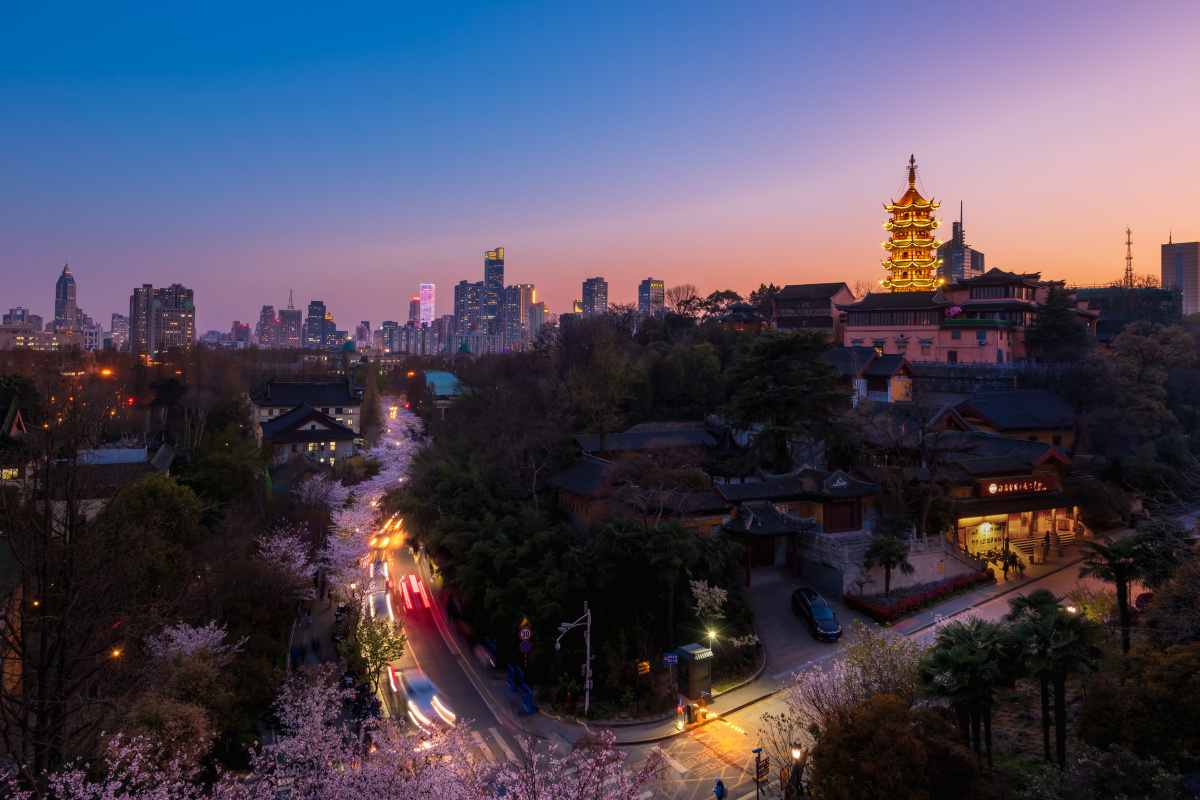 南京鸡鸣寺樱花大道