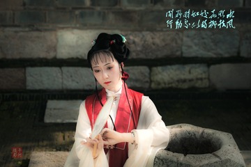 黛玉韵