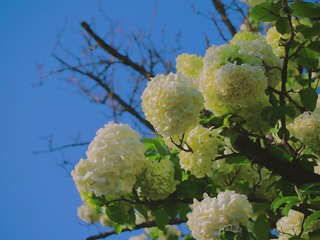 ED36E9EB-6E87-4E7D-81F2-F75D10D98C59/L0/001