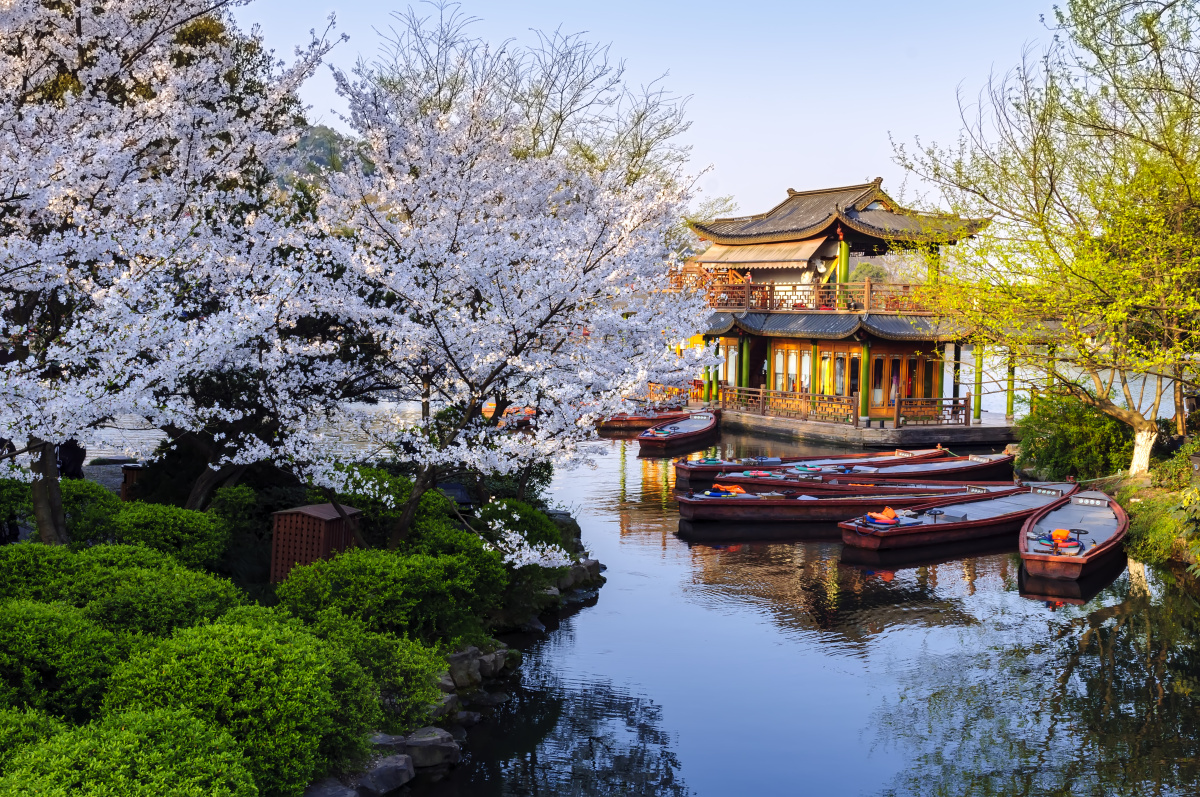 曲院风荷景区春色