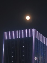 1000026650