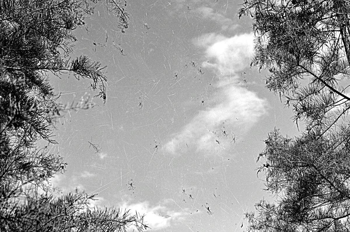 心乱如麻 - 黑白, 情绪 - fairy119 - 图虫摄影网