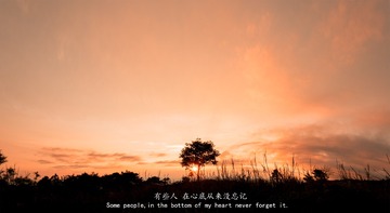 相逢却又错过