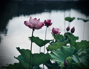 001