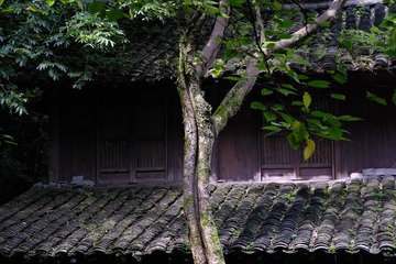 81050087-21A0-4CA7-B513-8DB5FD27C028/L0/001