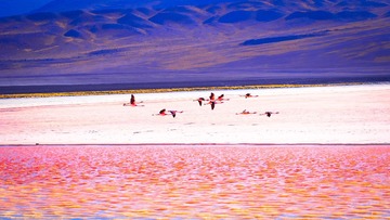 uyuni2 (55 of 66)