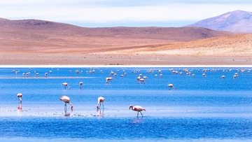 _uyuni2 (18 of 66)