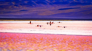 _PB222965