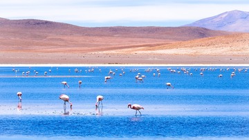 _uyuni2 (18 of 66)