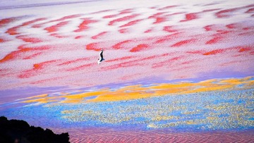夢無子《天空之境－大地的画布》48.77cm × 27.43cm 2015年 摄影