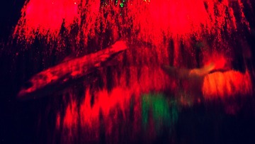 10_夢無子<庞然巨兽> 48.77cm × 27.43cm 2015年 摄影-2