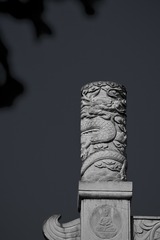 1040209