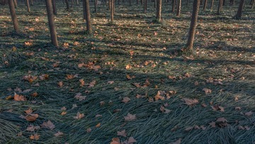 20160114_DSC03238-EditG1