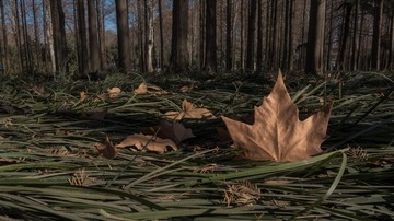 20160114_DSC03209G