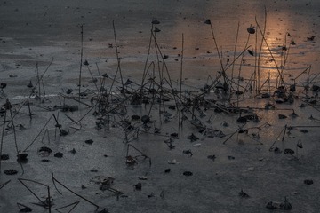 20160114_DSC03185G1