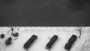 20160122_DSC03436