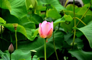 DSC_3267_字体