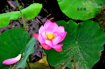 DSC_3251_字体