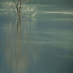 _A7A0125