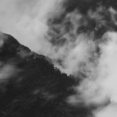 _A7A6815