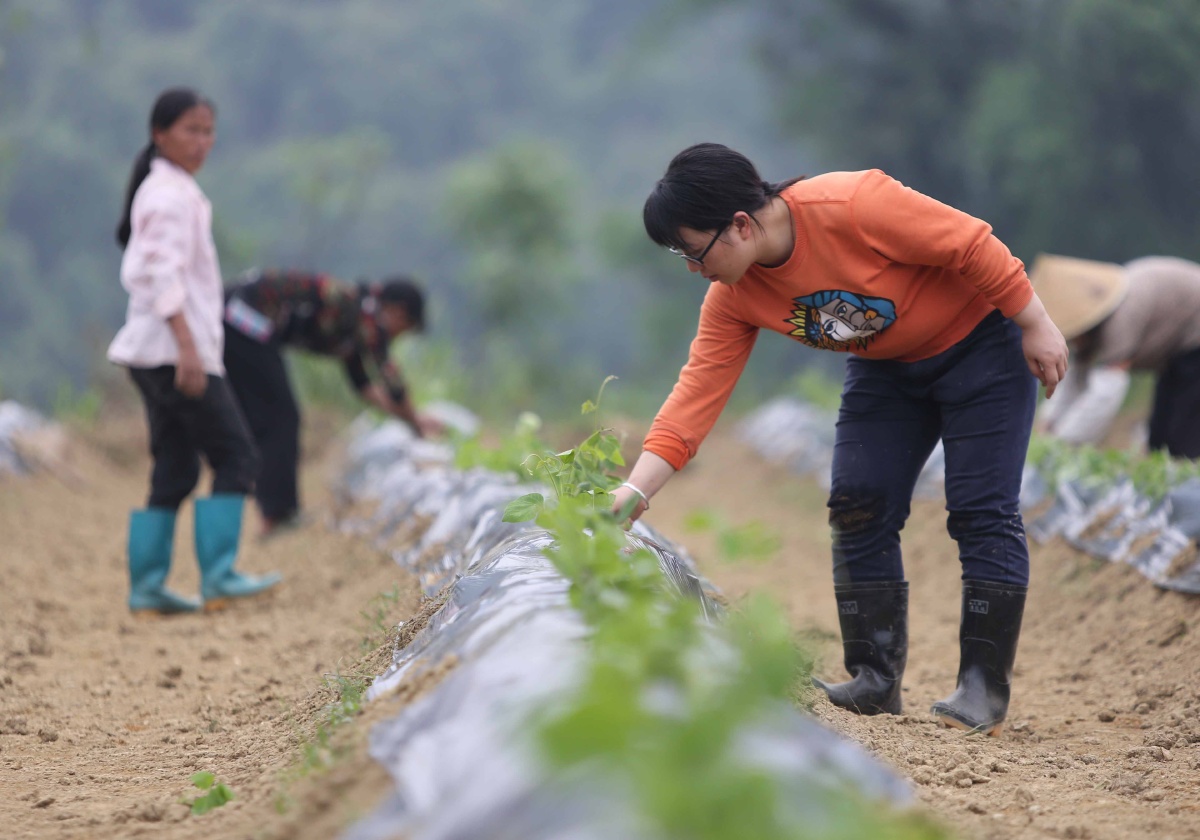 85后女大学生村官的别样青春