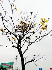 IMG_20160313_182807