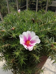 IMG_20160403_133908