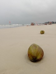 IMG_20160408_081130
