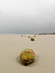 IMG_20160408_081815