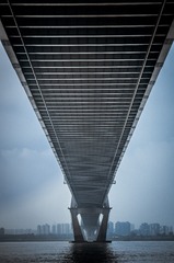 IMGP4120-2