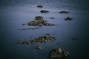IMGP9596-2