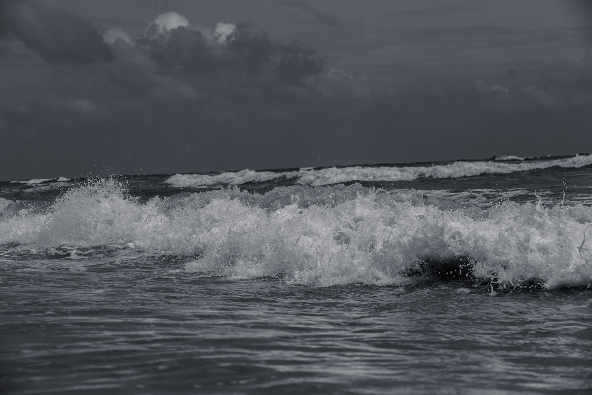 浪花的黑白世界