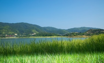 GV6A3816_
