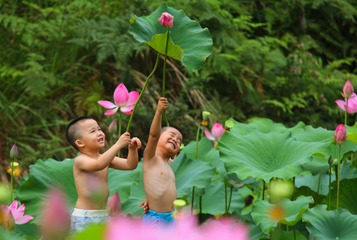 《夏日》洪祝宝