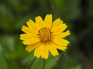 _6073031
