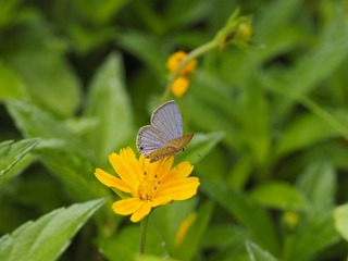 _6073045