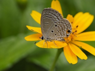 _6073056